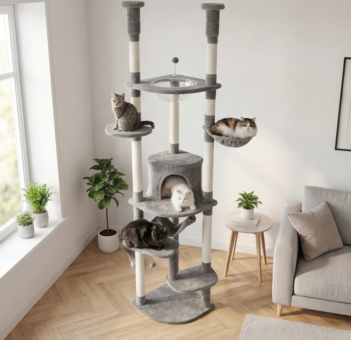 Arbre à chat XL sol-plafond 236 à 258 cm – vue 2