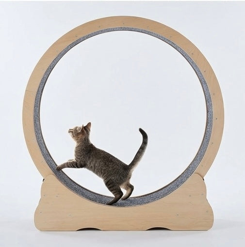 Heimtrainerrad – Durchmesser 132 cm