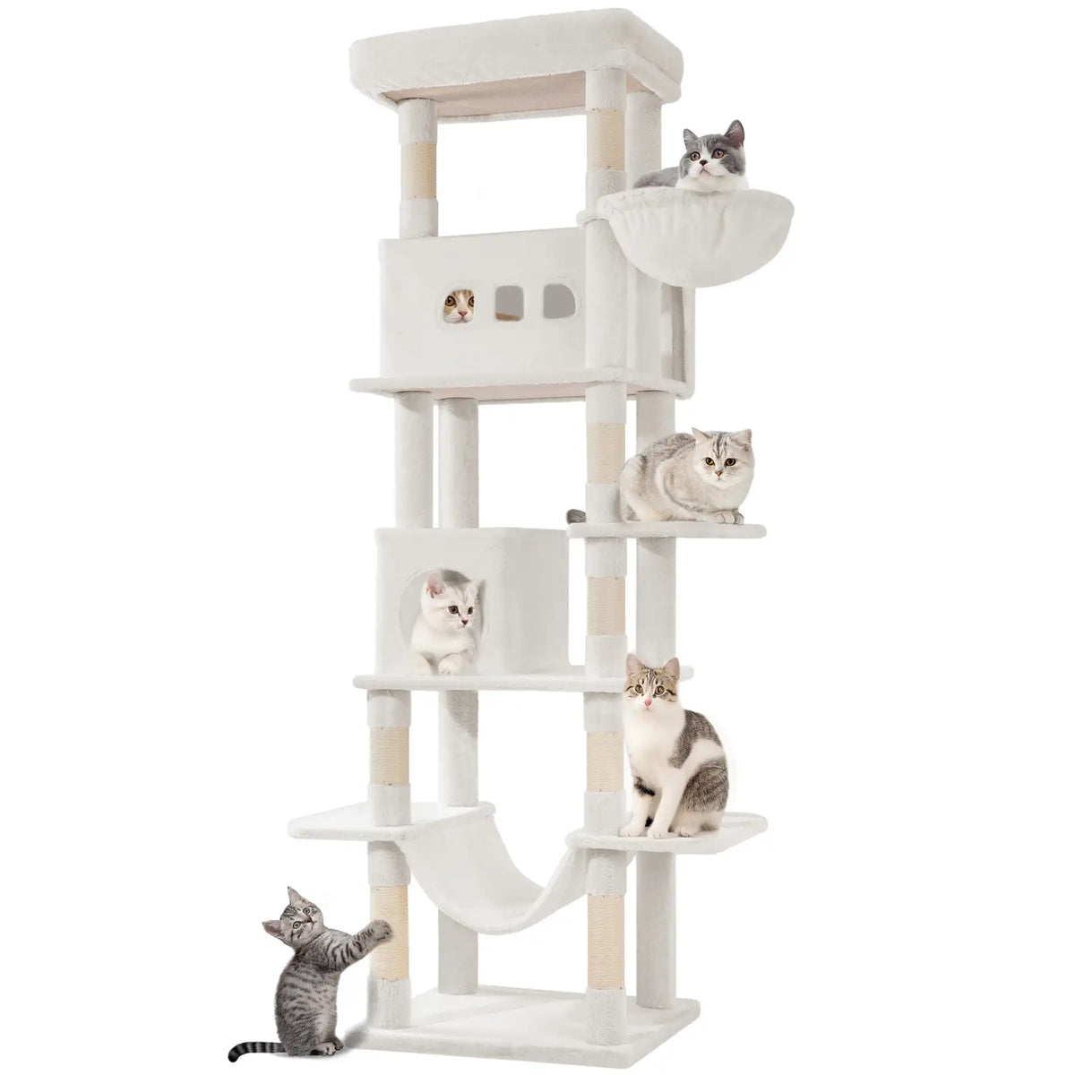 Arbre à chat XXL 210 cm pour très grands chats – vue 12