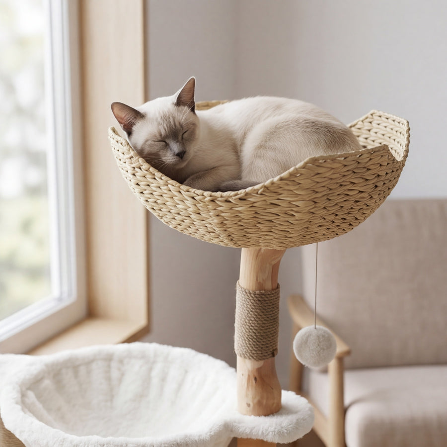Fait pour les grands chats
