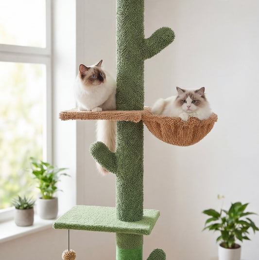 Arbre à chat cactus ajustable