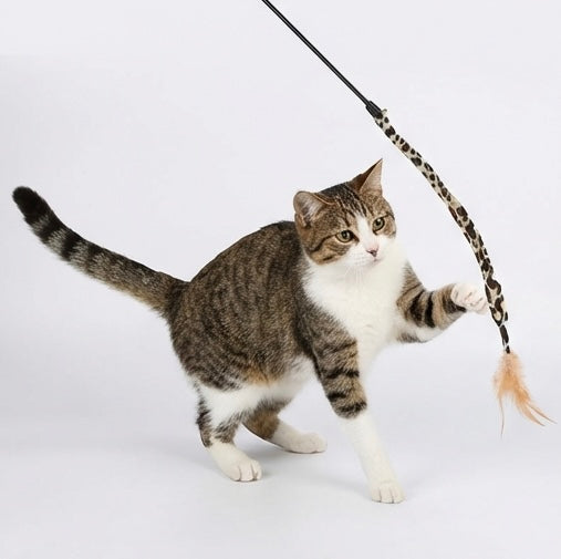 Sortiment Katzenspielzeug