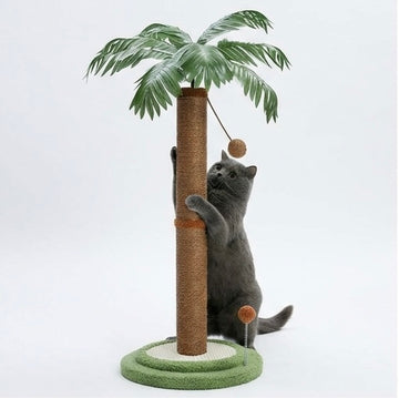 Griffoir palmier 85cm