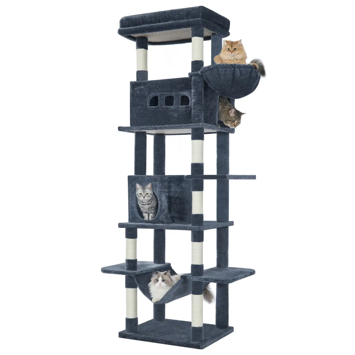 Arbre à chat XXL 210 cm pour très grands chats – vue 10