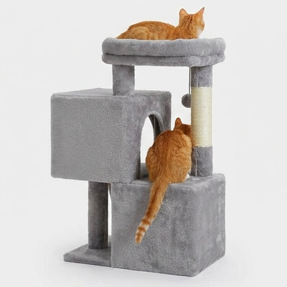 Arbre à chat double niche avec rampe