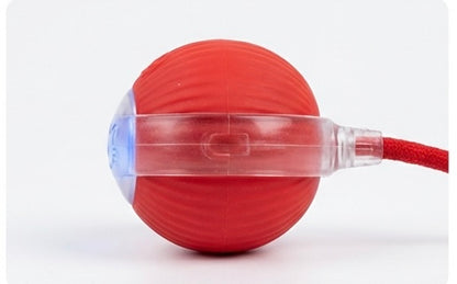 Interaktiver, selbstrollender Ball mit Berührungsaktivierung – 3 Farben