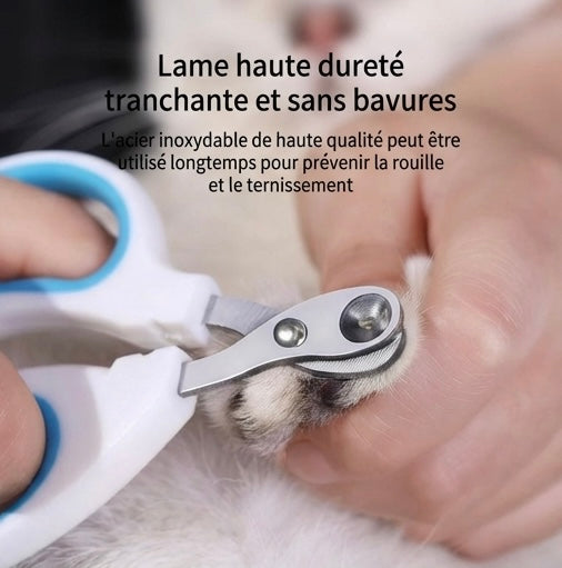 Krallenschere aus Edelstahl für Katzen und Kätzchen