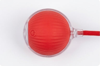 Interaktiver, selbstrollender Ball mit Berührungsaktivierung – 3 Farben