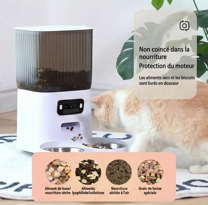 Distributeur automatique chat 5L – double gamelle, WiFi & caméra