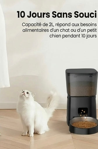 Distributeur automatique chat 2L – sans WiFi, simple & fiable