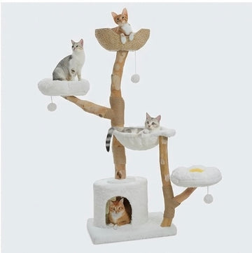 Arbre à chat 5 niveaux en bois massif – 150 cm blanc nuage