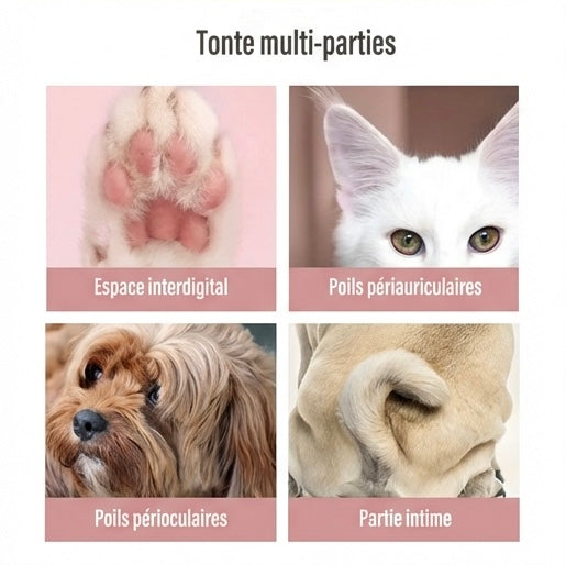 Tondeuse Électrique Chat Silencieuse - USB Rechargeable