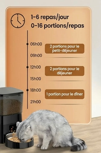 Distributeur automatique chat 2L – sans WiFi, simple & fiable