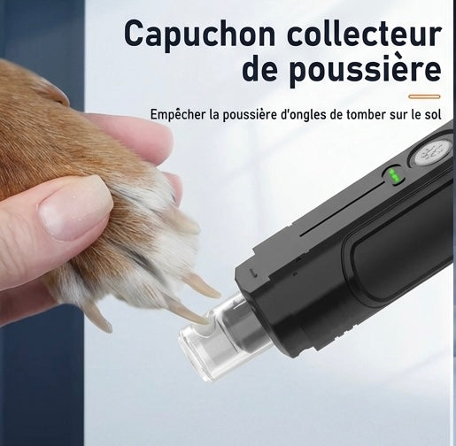 Elektrischer Katzenkrallenschneider mit 2 LED-Leuchten – USB-aufladbar, leise, professionelle Fellpflege