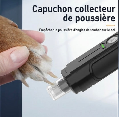 Elektrischer Katzenkrallenschneider mit 2 LED-Leuchten – USB-aufladbar, leise, professionelle Fellpflege