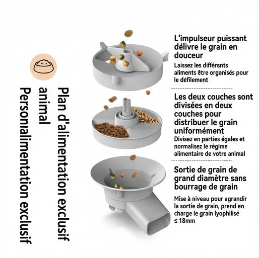 Distributeur automatique chat 5L – double gamelle, WiFi & caméra