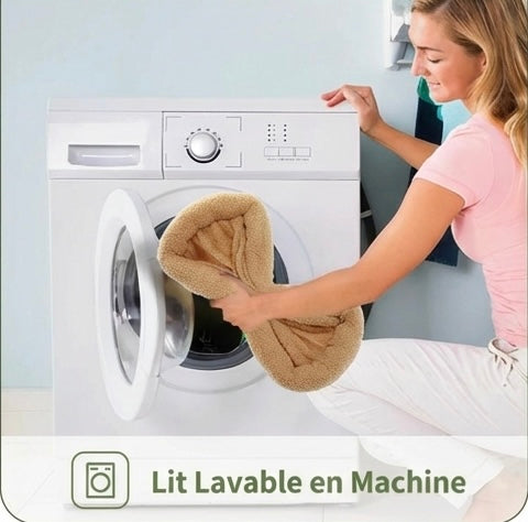 XXL Cactus Cat Tree – 6 levels