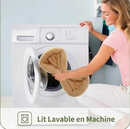 XXL Cactus Cat Tree – 6 levels