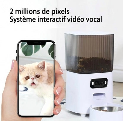 Distributeur automatique chat 5L – double gamelle, WiFi & caméra