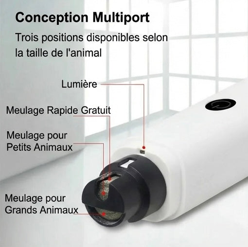 Coupe-Griffes Électrique Chat USB Rechargeable - LED Silencieux Professionnel Toilettage