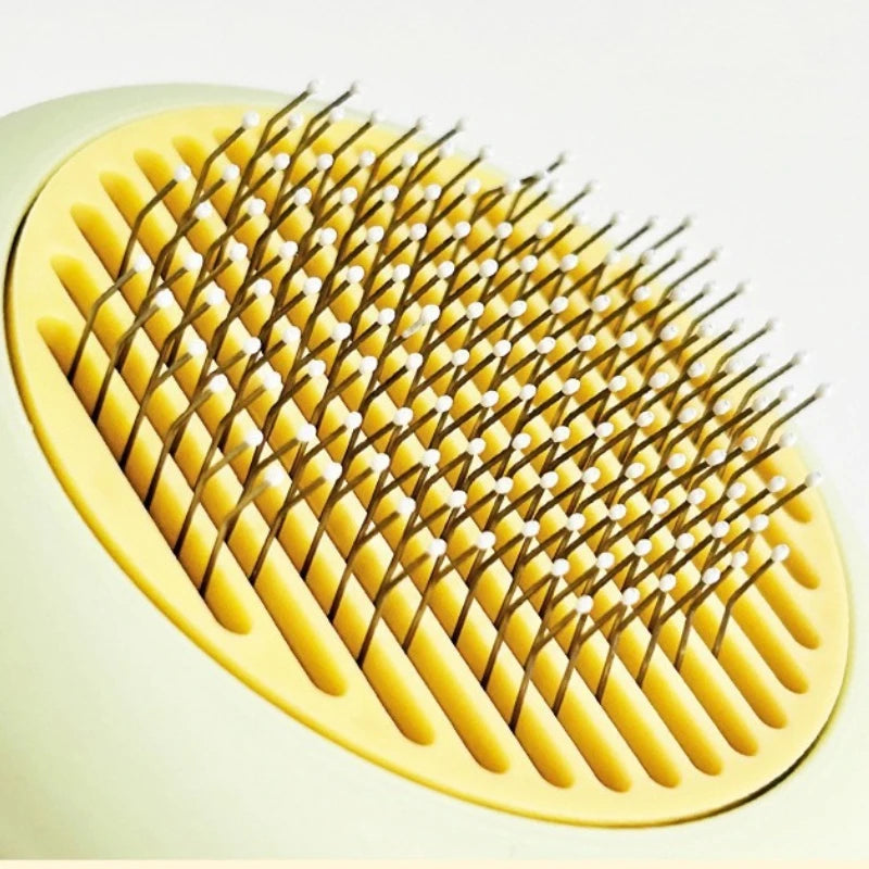Brosse massage pour chat avec oreilles de chat décoratives
