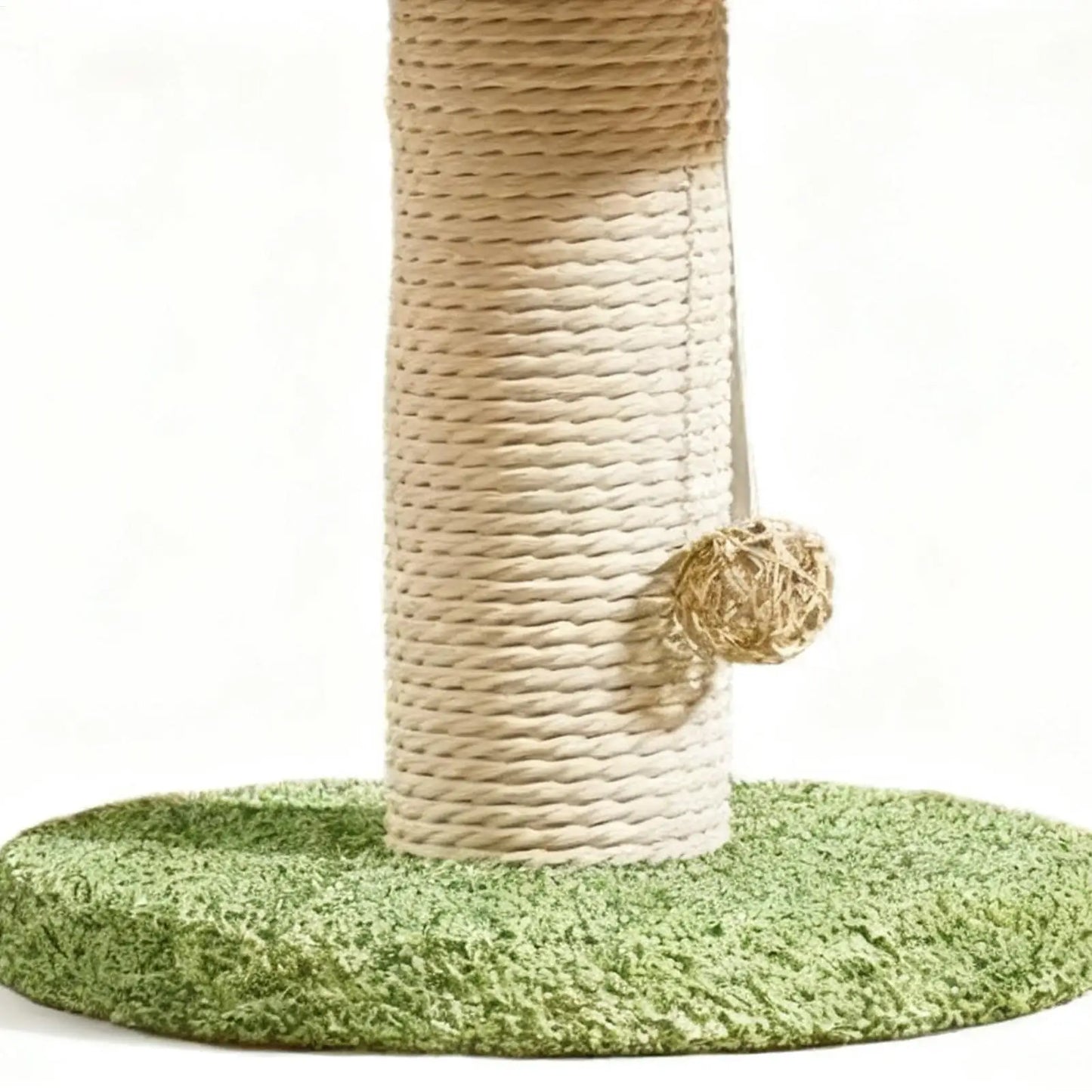 Griffoir champignon