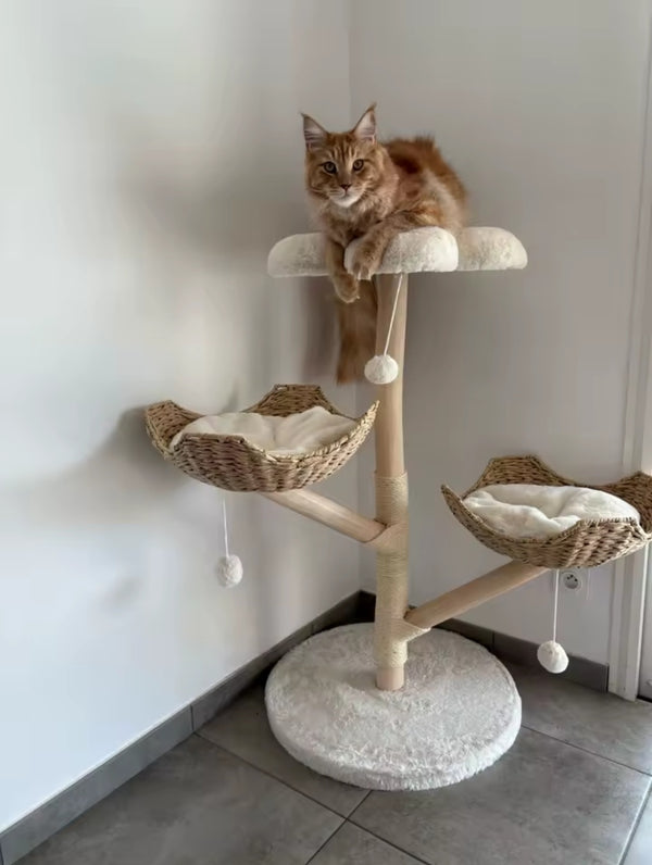 Photo de l'avis de Pauline
