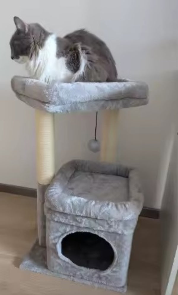 Photo de l'avis de Sylvie