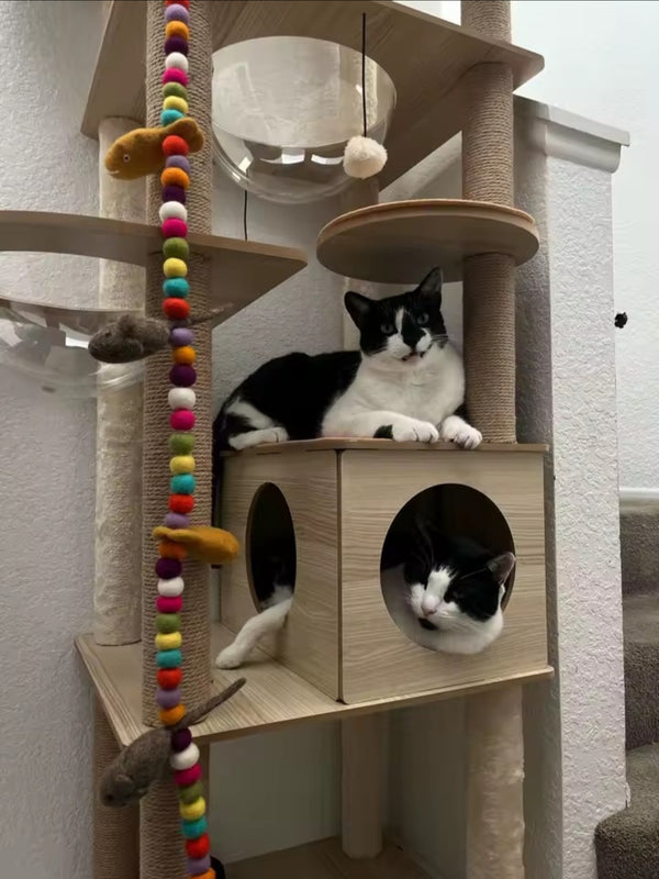 Photo de l'avis de Thomas