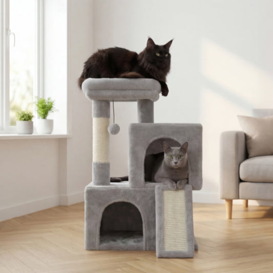 Arbre à chat double niche avec rampe