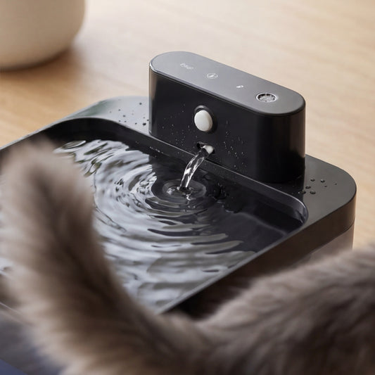 Fontaine à eau chat sans fil – capteur infrarouge & batterie