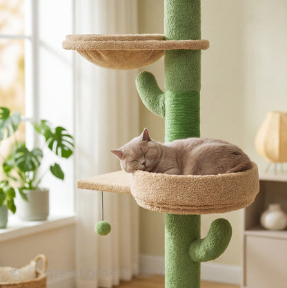 Arbre à Chat Cactus Sol-Plafond en Bois | Réglable 205-255 cm