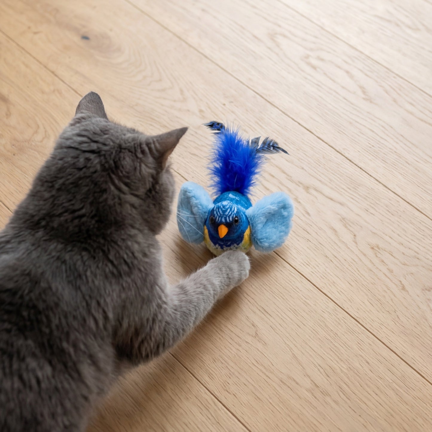 Oiseau Interactif
