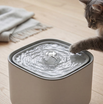 3-Liter-Katzenbrunnen – Gefiltert & Leise