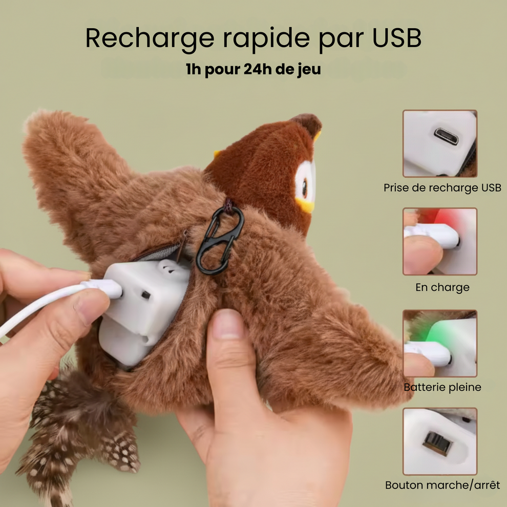 Jouet oiseau interactif rechargeable pour chat